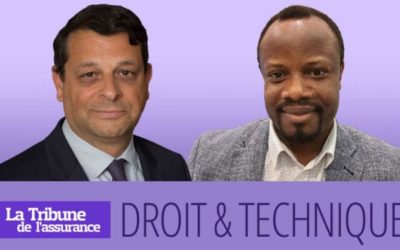 “Quelle délimitation entre assurance terrestre et maritime” by Jérôme de Sentenac – Tribune de l’Assurance (Part 2)